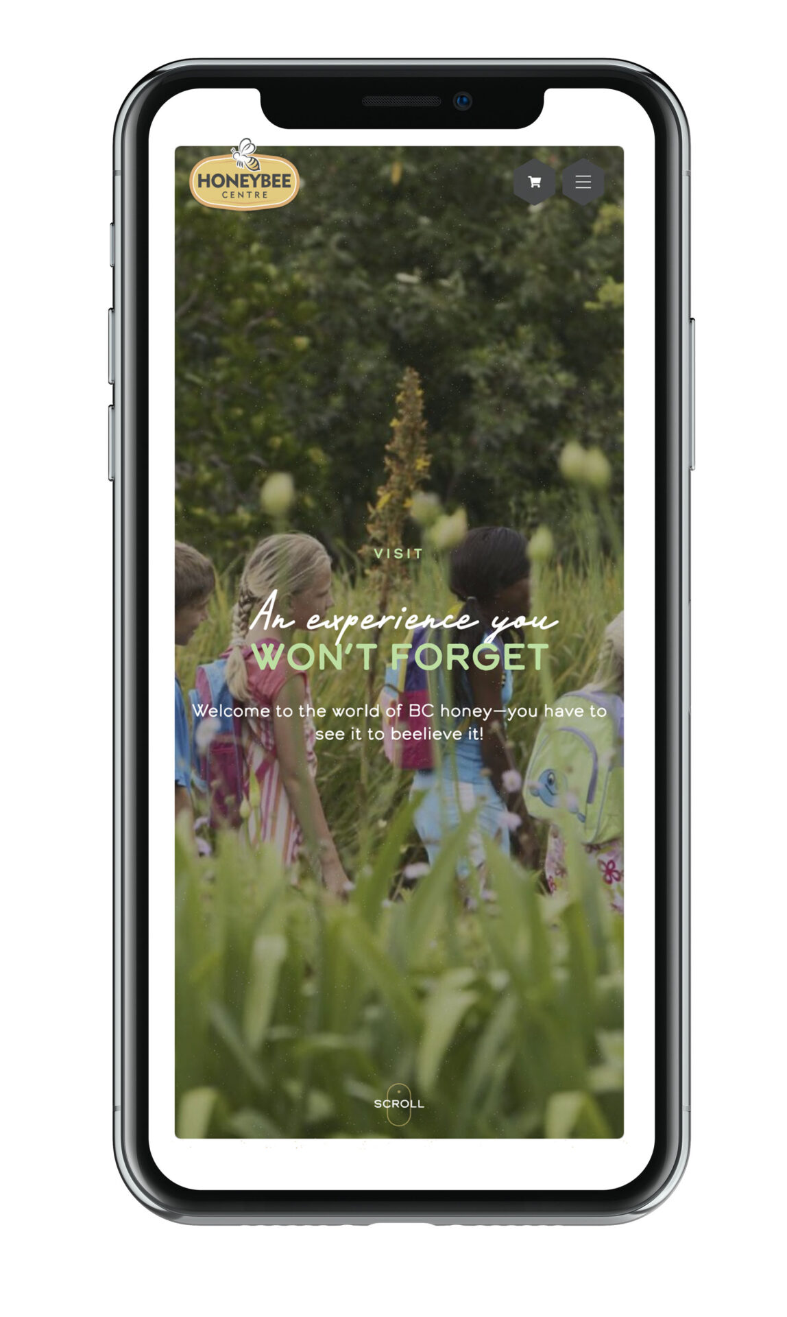 Studiothink offers ecommerce web design