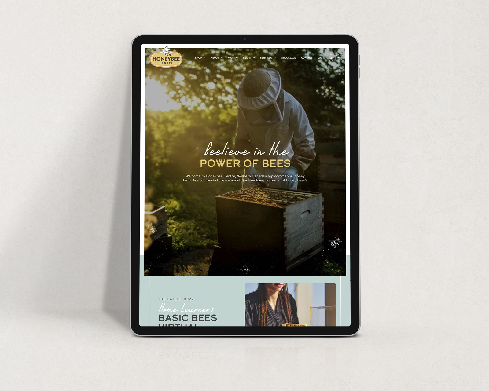 Company Rebrand by Studiothink