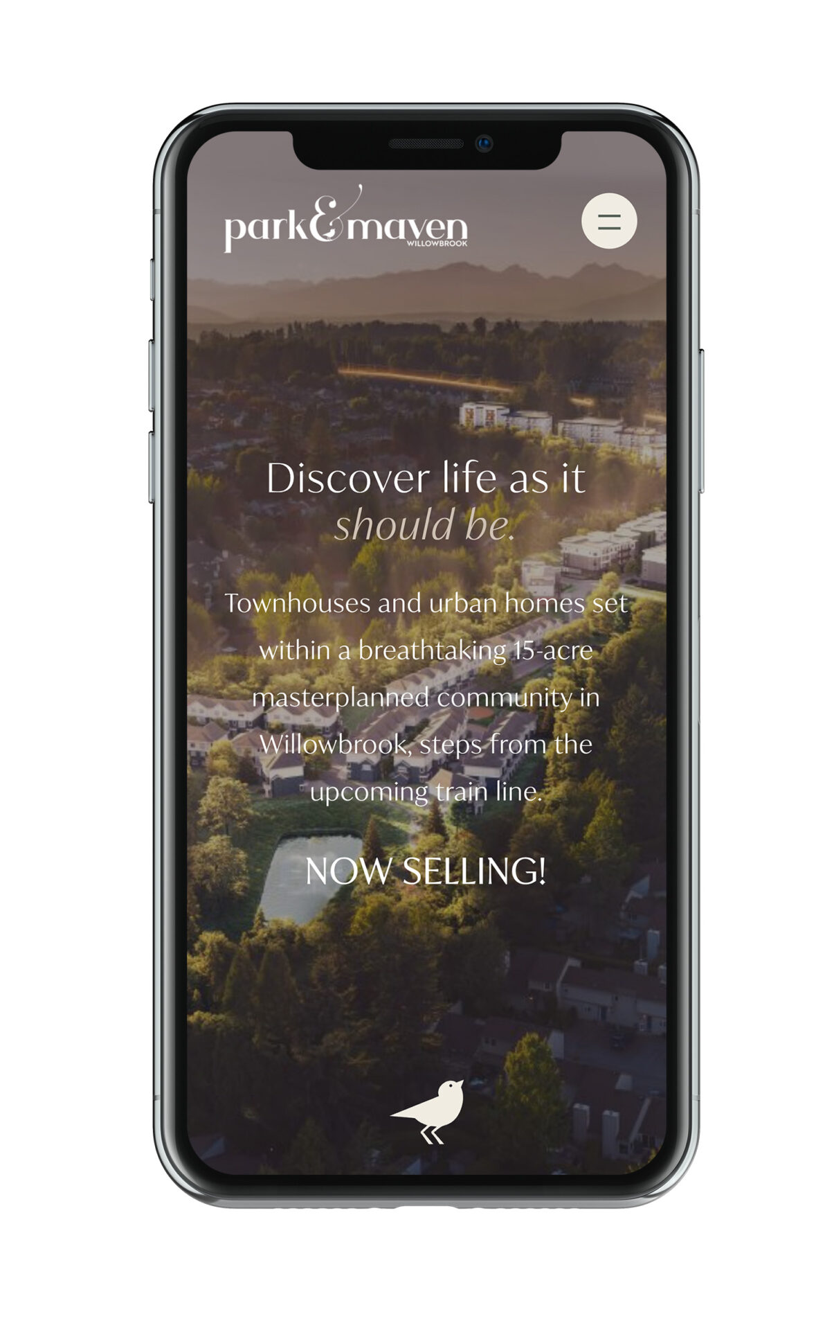 Vancouver Website Designer Brand