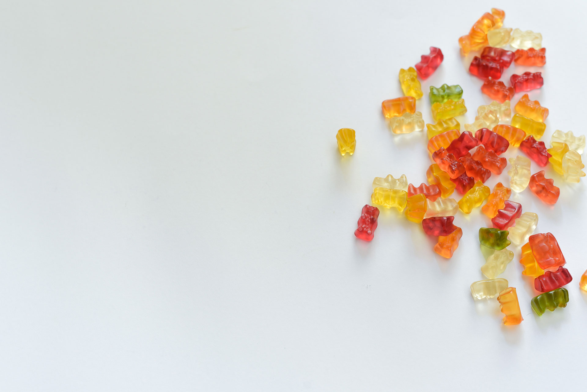 Vancouver Website Designer Brand