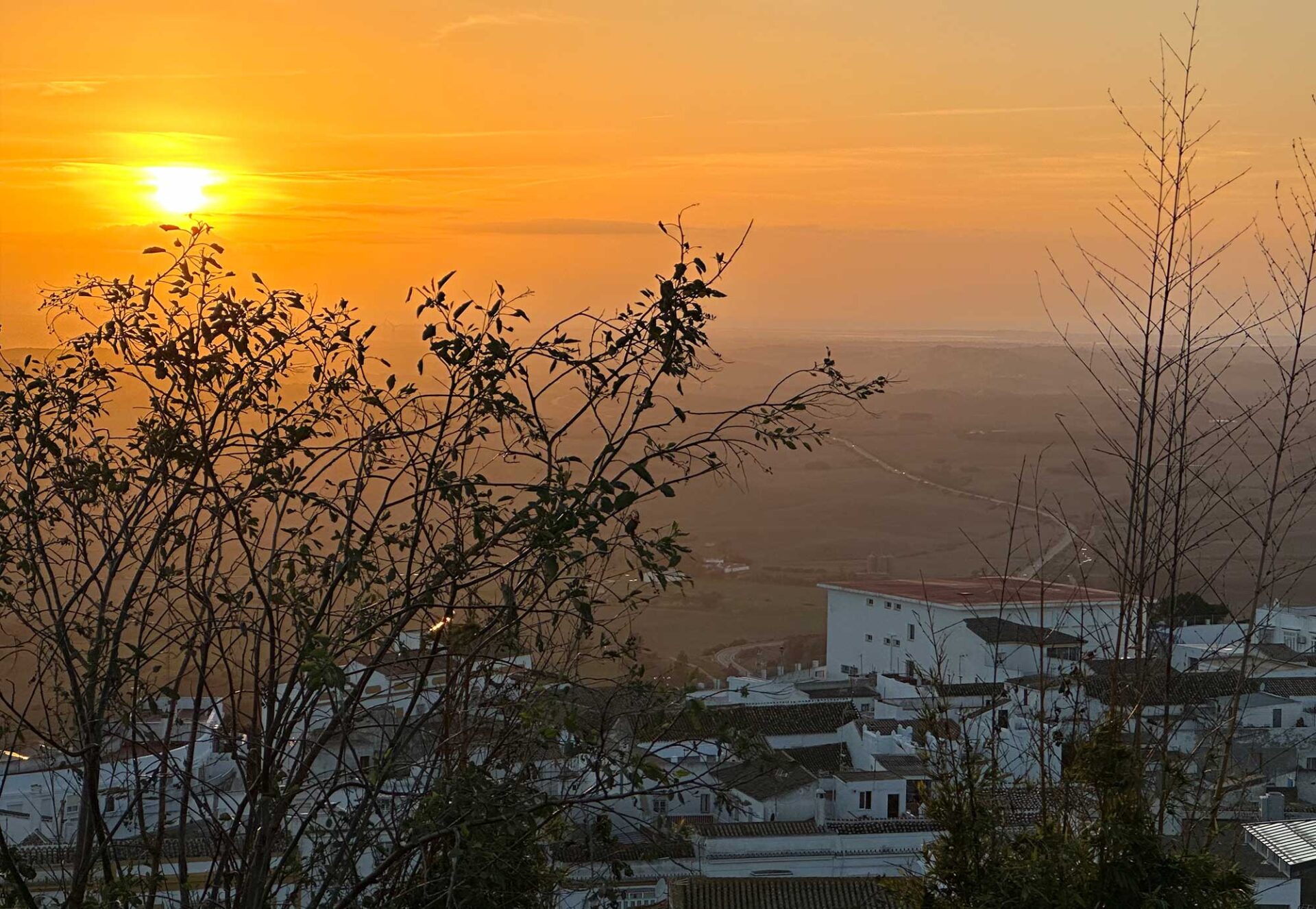 What do you truly want?