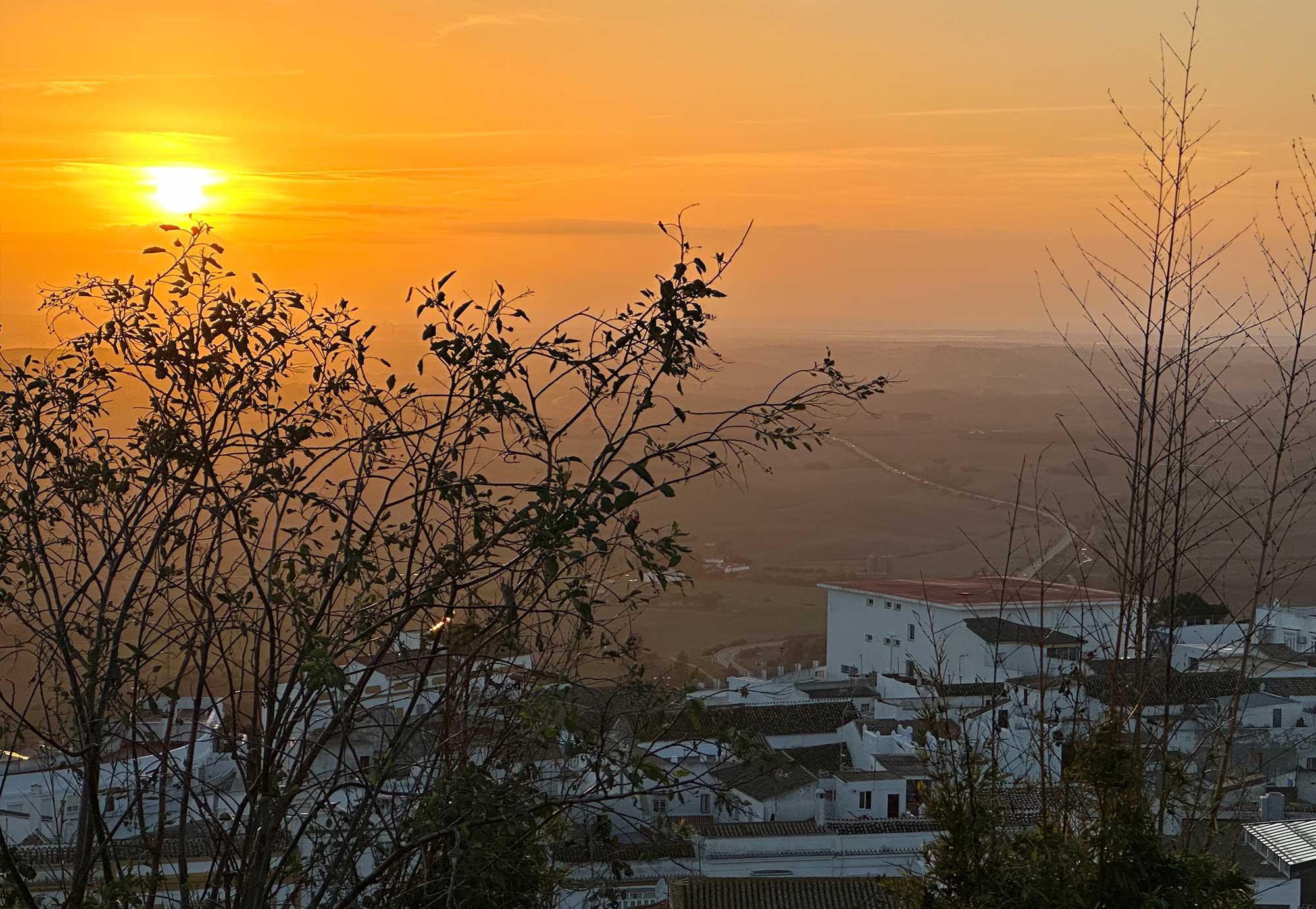 What do you truly want?