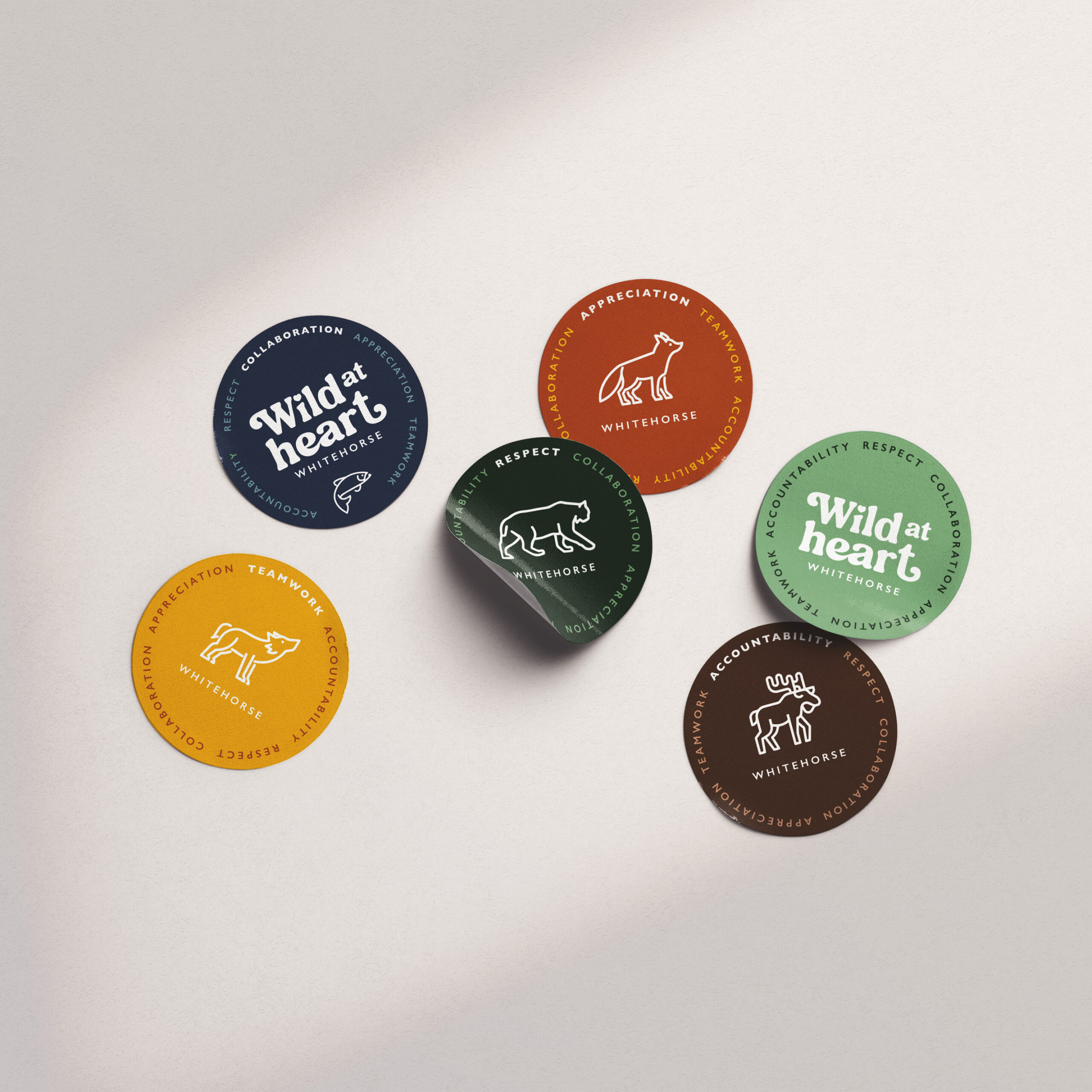 Marketing campaign Whitehorse Studiothink Vancouver