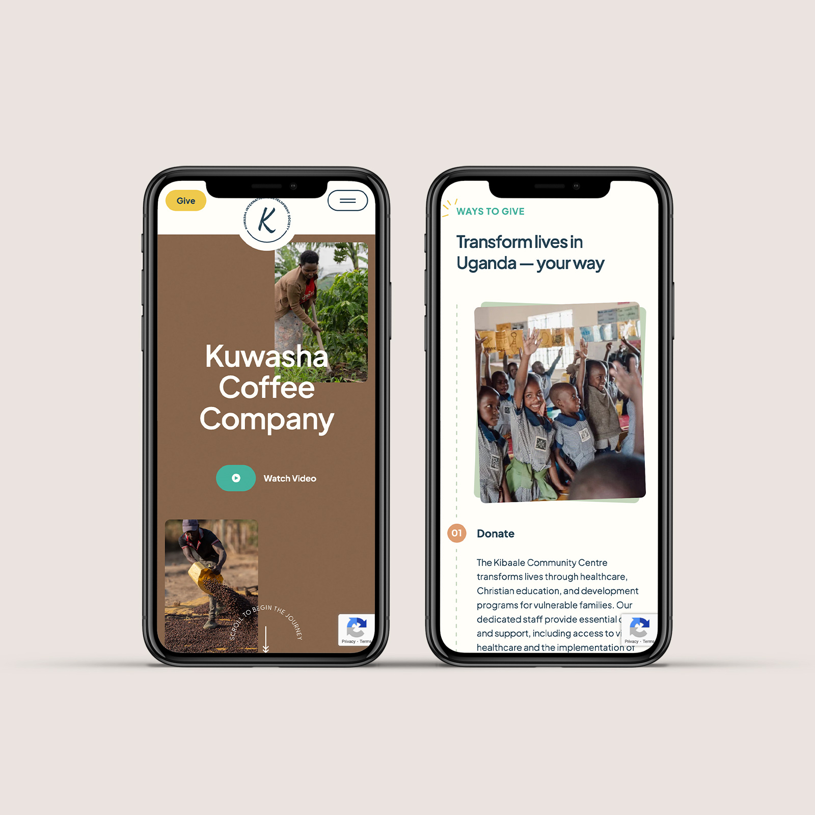 Charity Organization and Non Profit Web Design